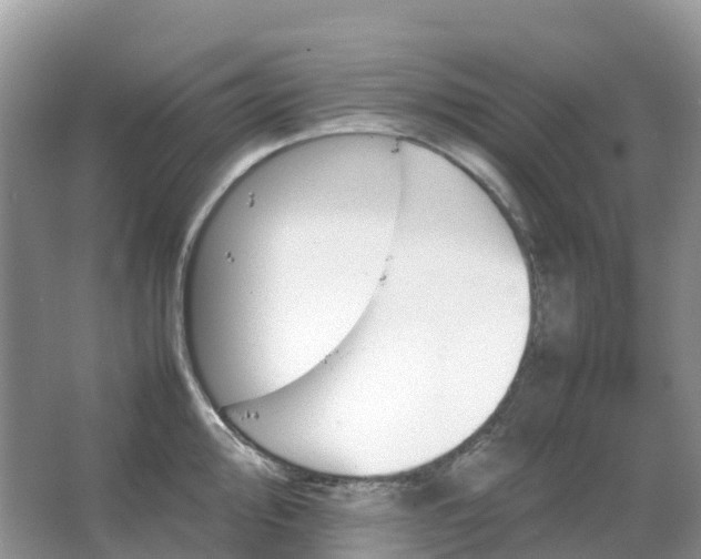 X0000067481000200604150011