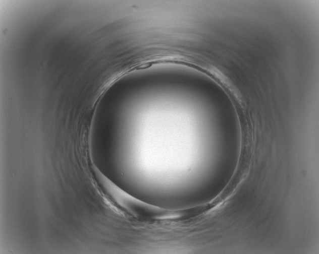 X0000067481001200604150011