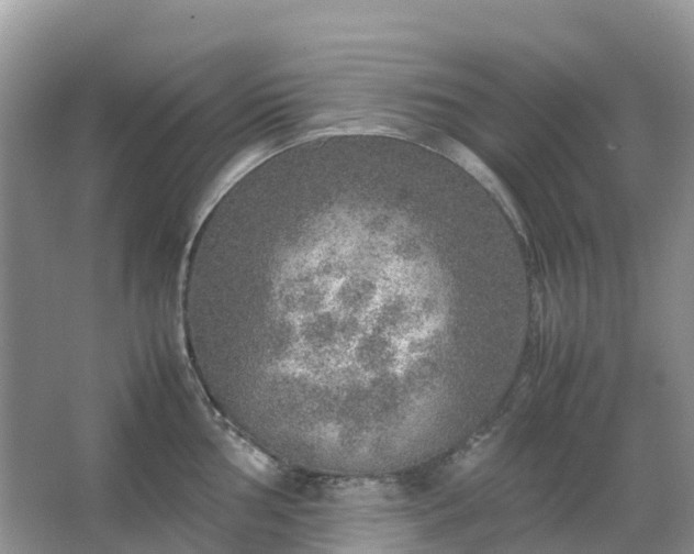 X0000067481002200604150011