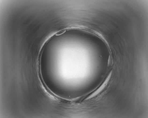 X0000067481003200604150011