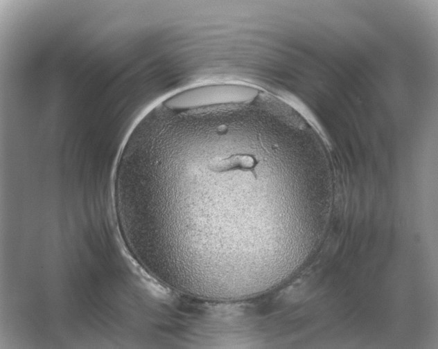 X0000067481004200604150011