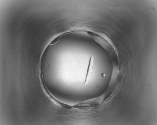 X0000067481005200604150011