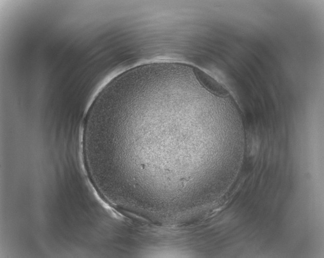 X0000067481006200604150011