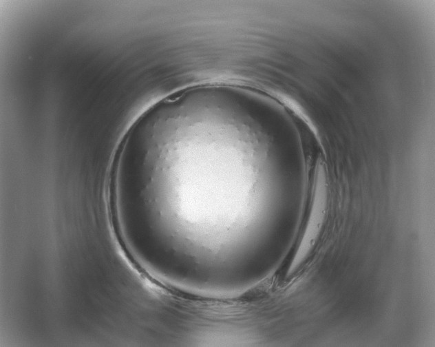 X0000067481007200604150011