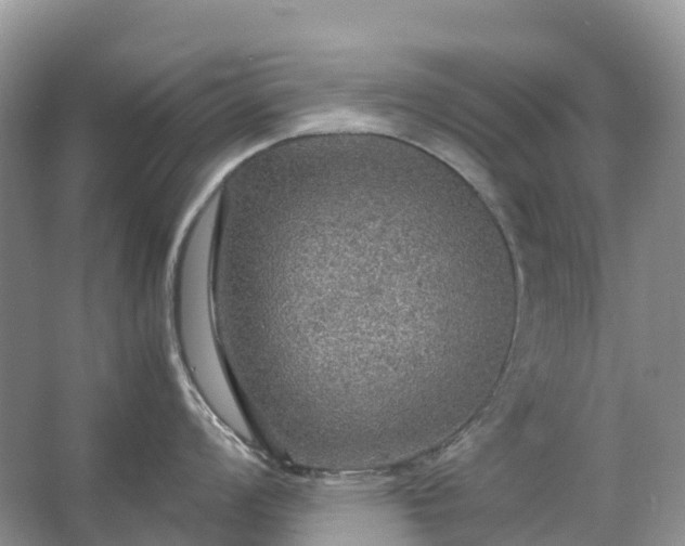 X0000067481008200604150011