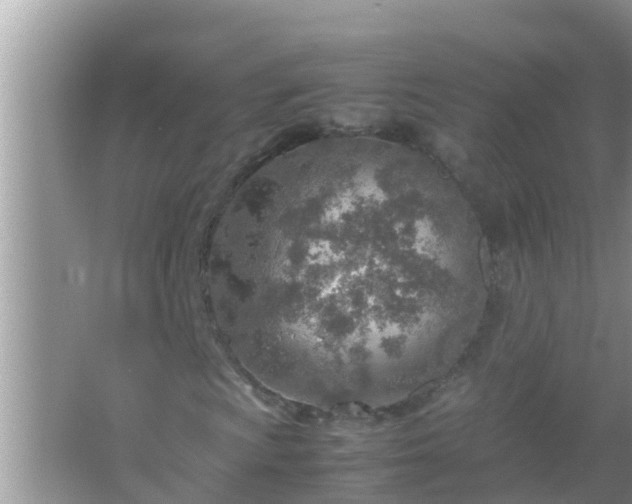 X0000067481009200604150010