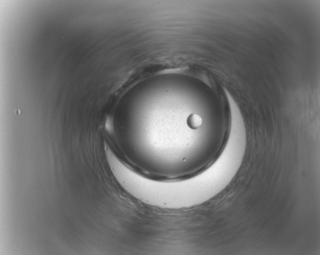 X0000067481010200604150010