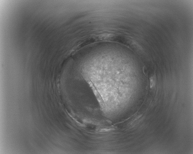 X0000067481011200604150010