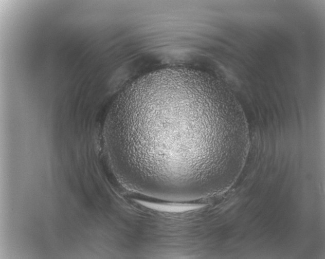 X0000067481012200604150010