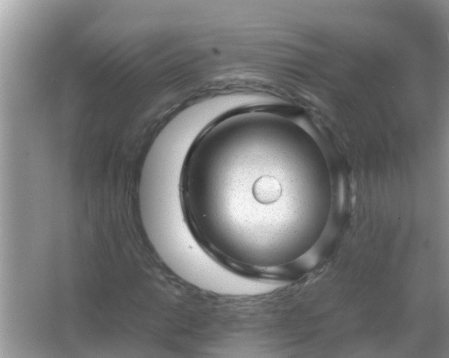 X0000067481014200604150010