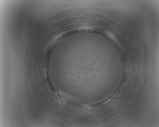 X0000067481015200604150010