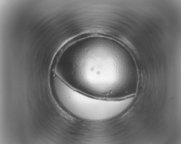 X0000067481020200604150010