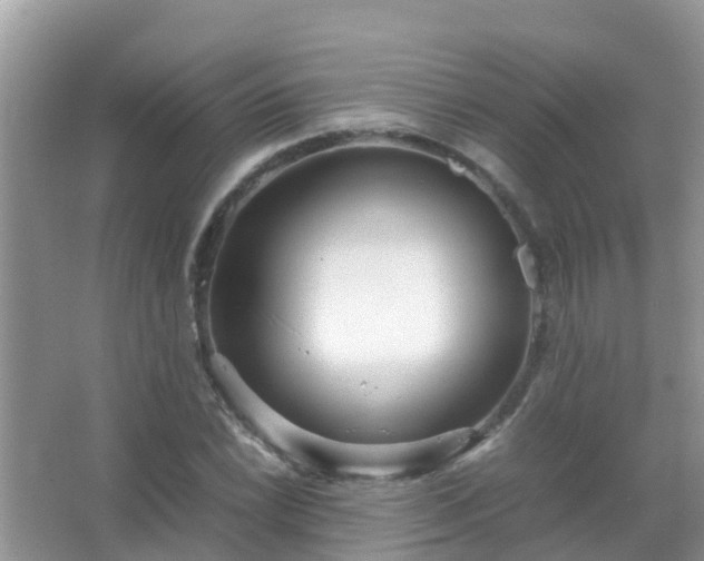 X0000067481022200604150010