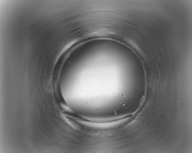 X0000067481026200604150011