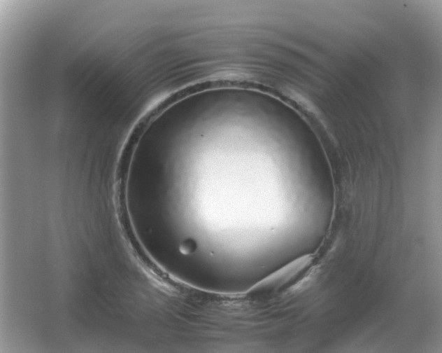 X0000067481029200604150011