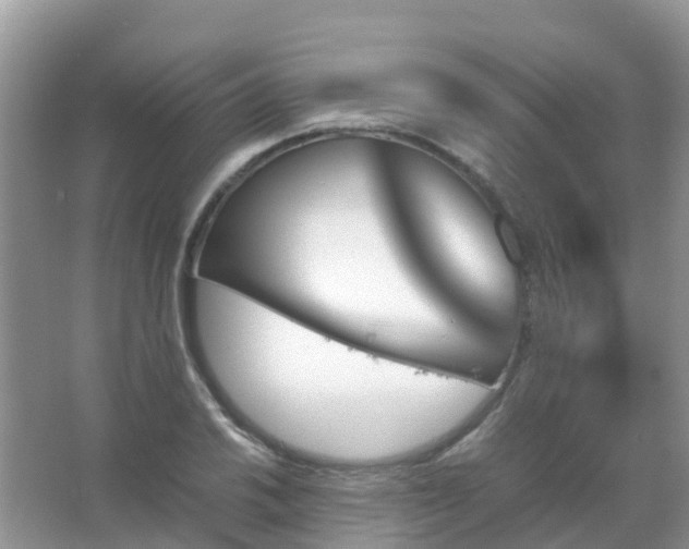 X0000067481030200604150011