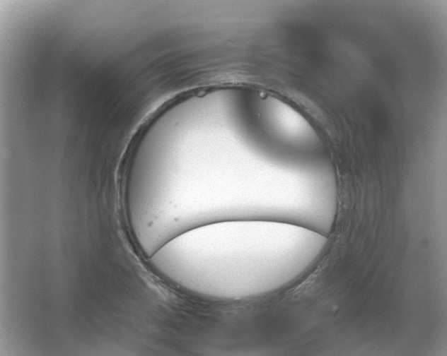 X0000067481031200604150011