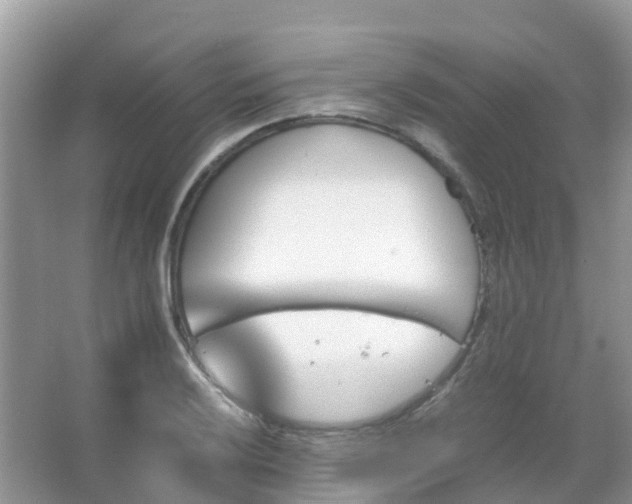 X0000067481032200604150011