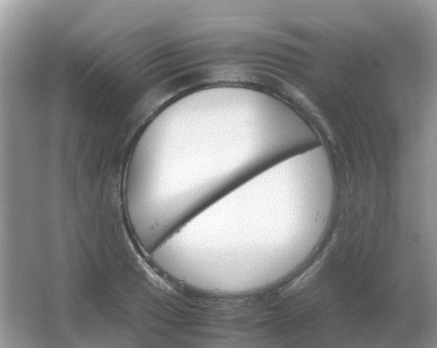 X0000067481033200604150011