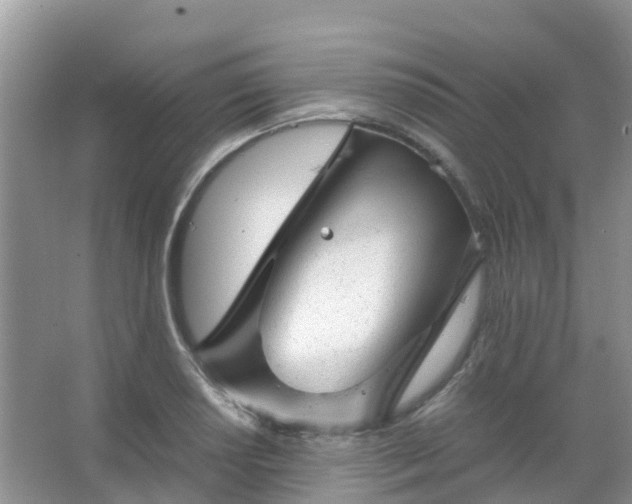 X0000067481034200604150011