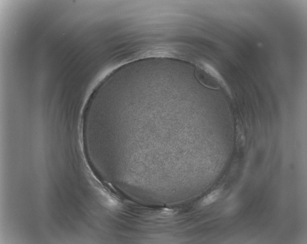 X0000067481035200604150011