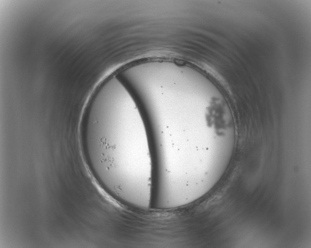 X0000067481037200604150011