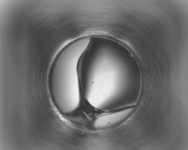 X0000067481038200604150011