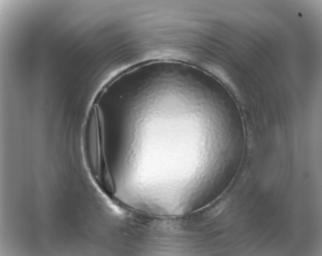 X0000067481040200604150011