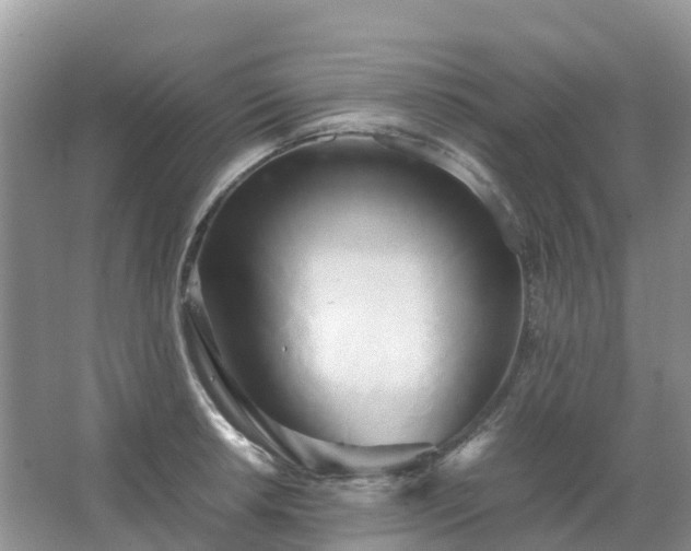 X0000067481042200604150011