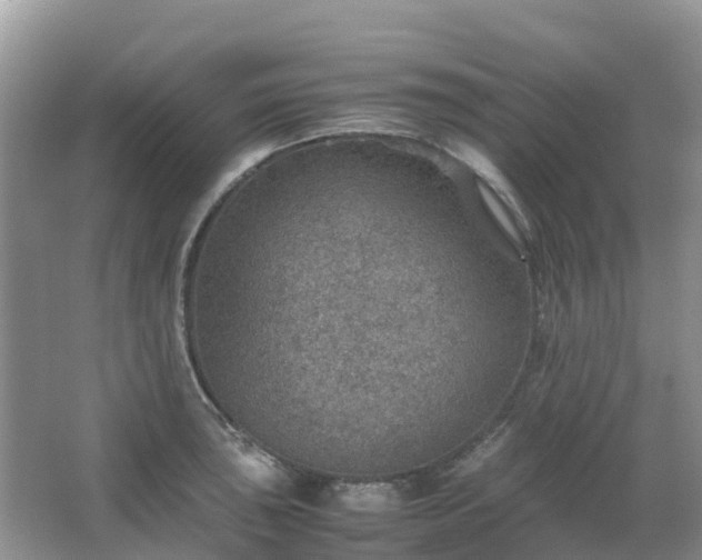 X0000067481043200604150011