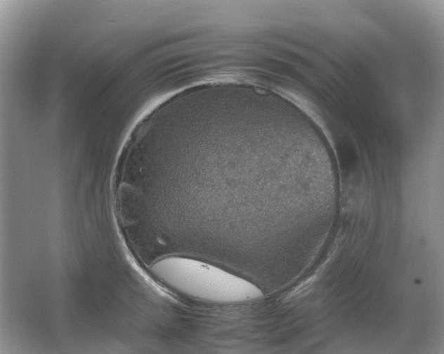 X0000067481045200604150011