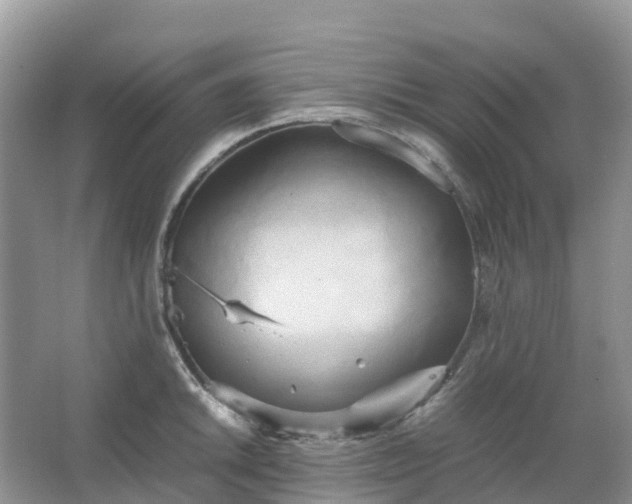 X0000067481046200604150011