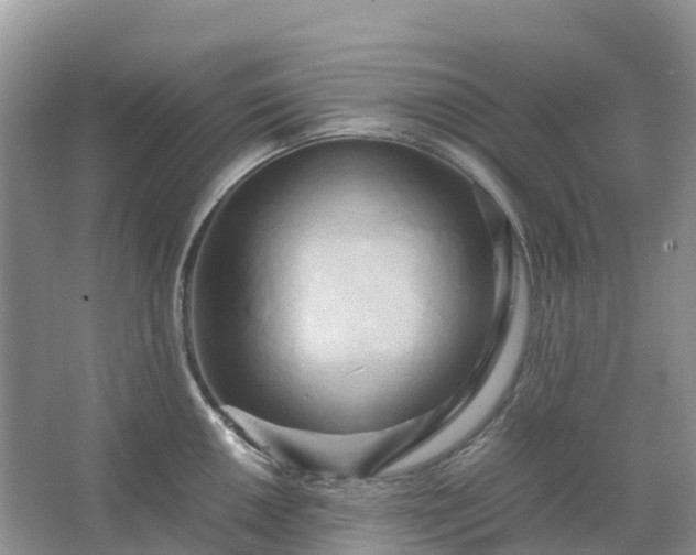 X0000067481050200604150011