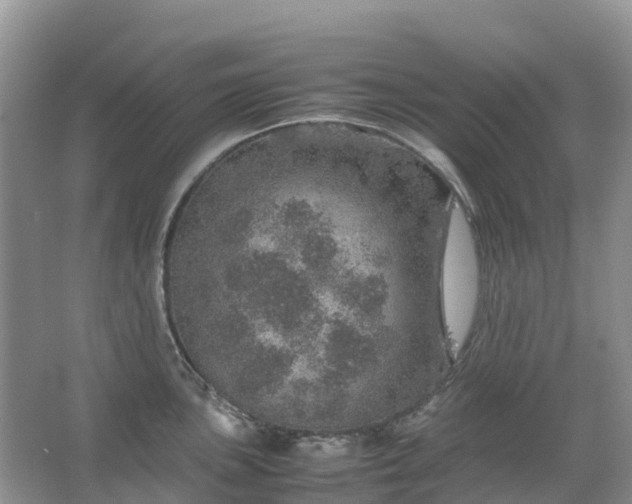 X0000067481051200604150011