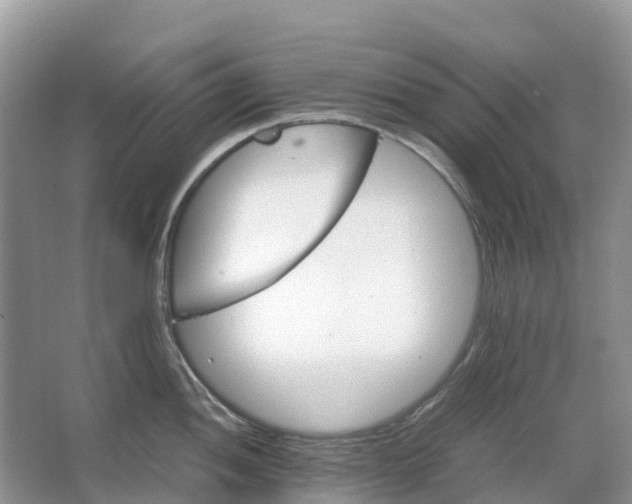 X0000067481052200604150011