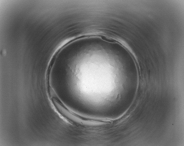 X0000067481053200604150011