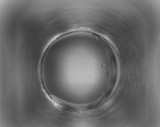 X0000067481054200604150011