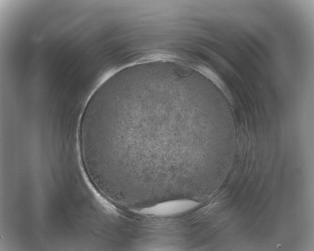 X0000067481055200604150011