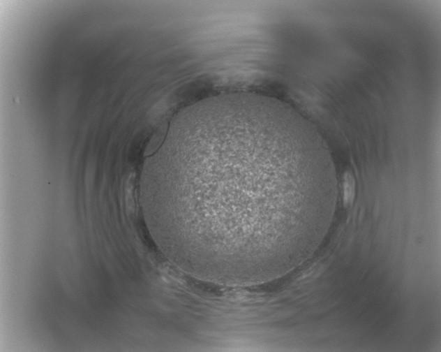 X0000067481059200604150010