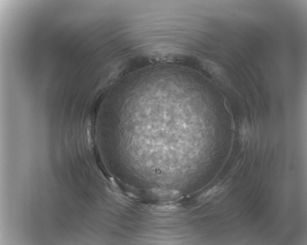 X0000067481060200604150010