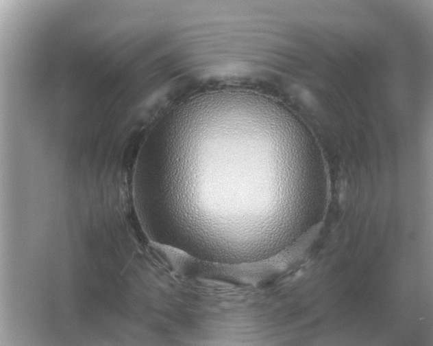 X0000067481062200604150010