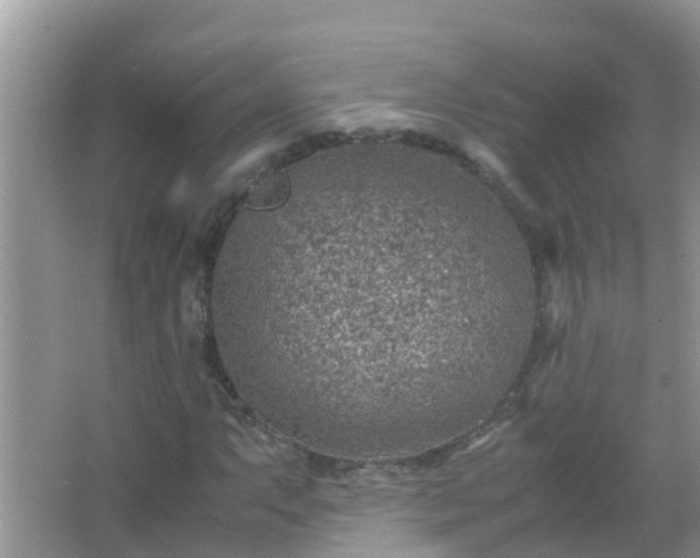 X0000067481063200604150010