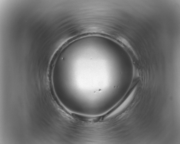 X0000067481068200604150010