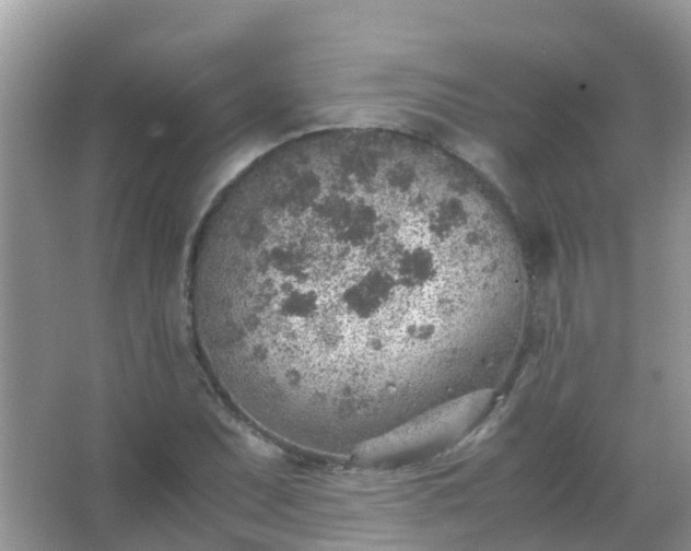 X0000067481071200604150010