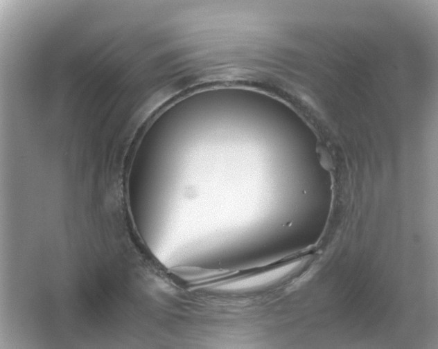 X0000067481073200604150010