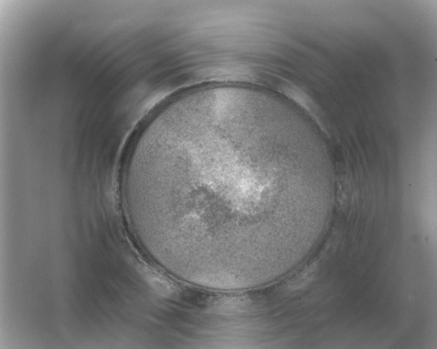 X0000067481074200604150010