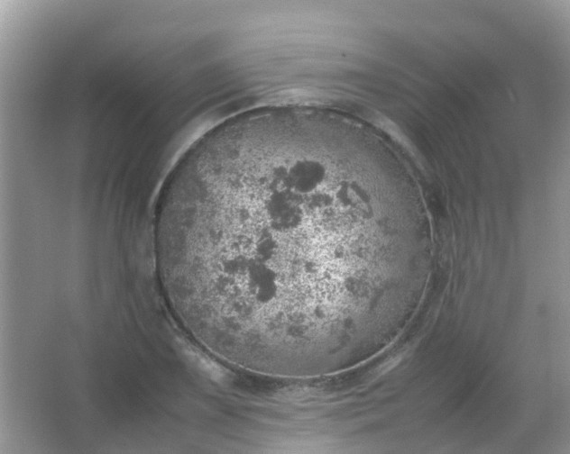 X0000067481075200604150010