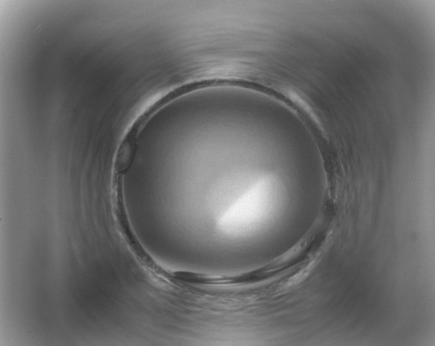 X0000067481077200604150010