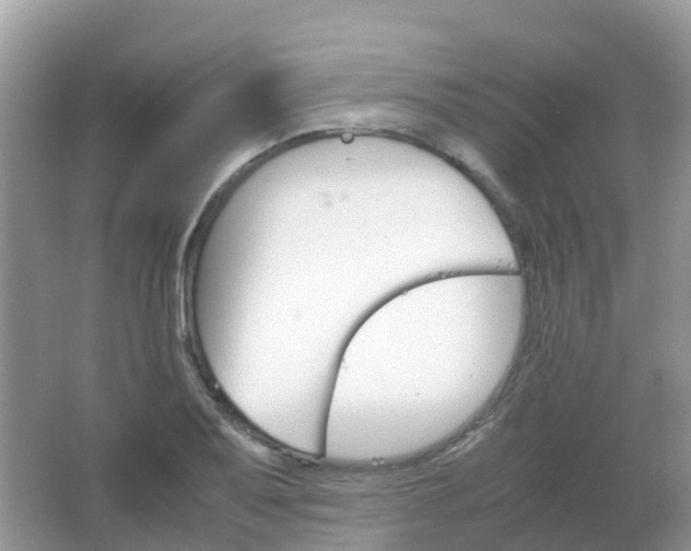 X0000067481079200604150010