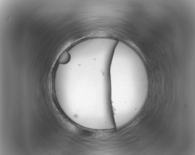 X0000067481083200604150010